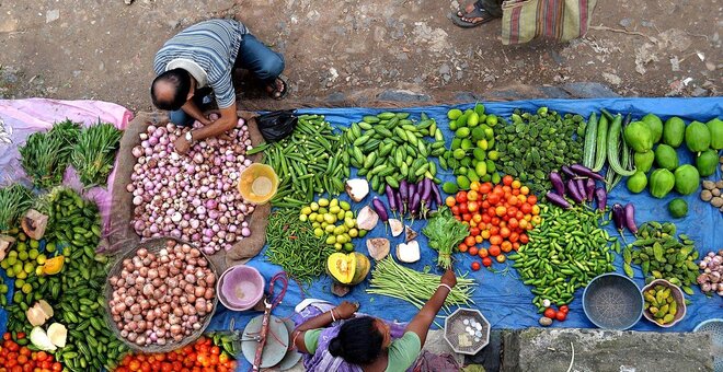 Diverse Food is the Real Low-Cost Food