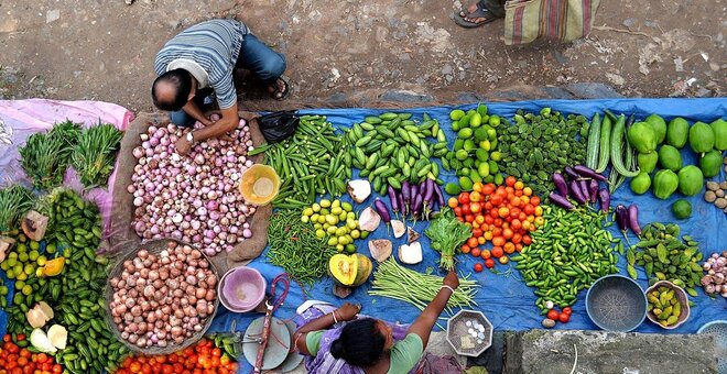 One Thing Underpins the Food System We Need