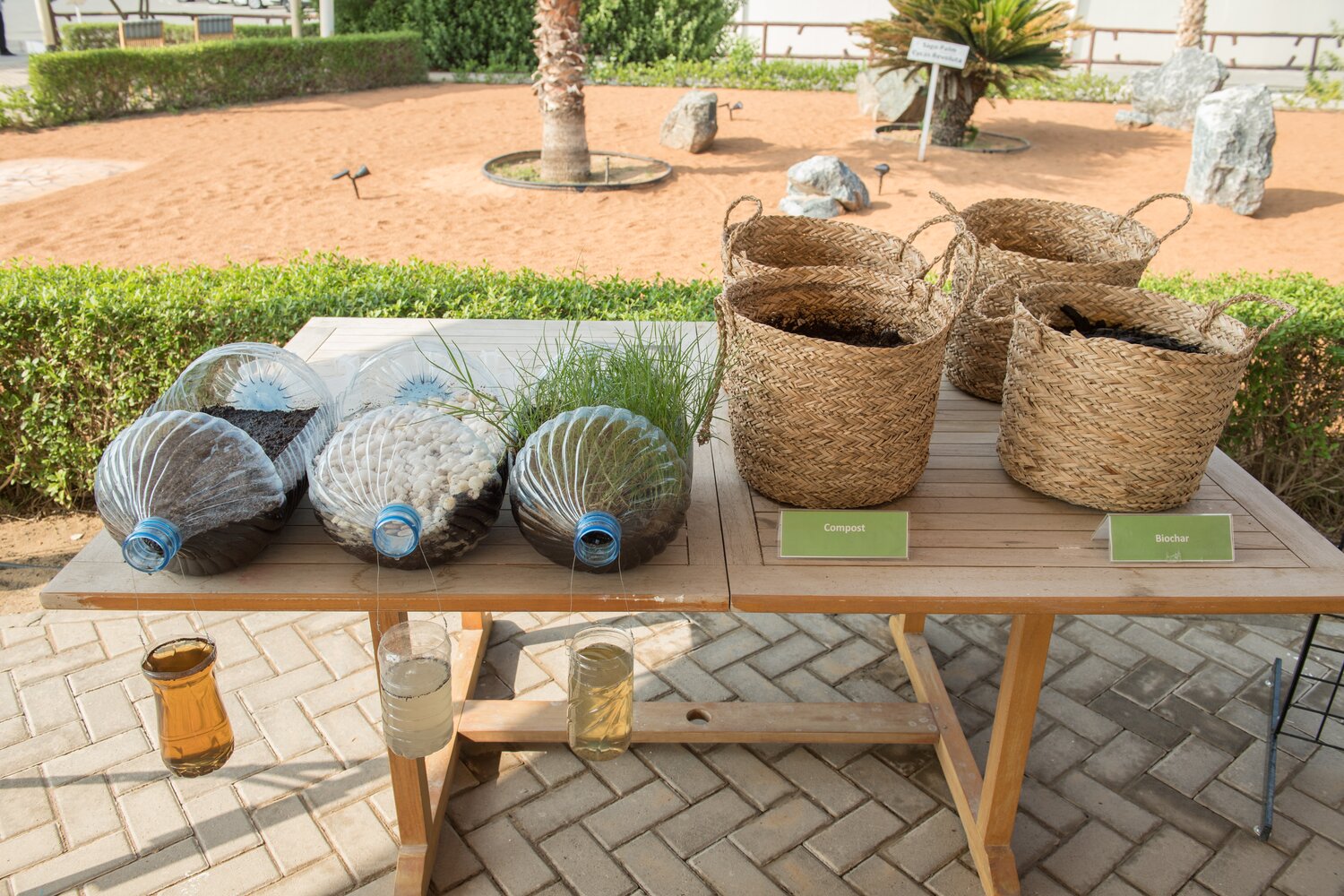 A temporary exhibit at ICBA commemorating the upcoming Year of Plant and Soil Health, showing the degree of erosion in different soil compositions. Photo credit: ICBA