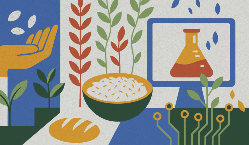 Conservation and Use of Crop Diversity in the Bio-Digital Age