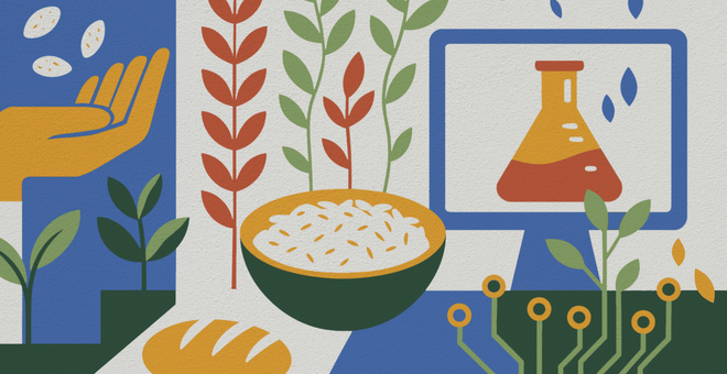 Conservation and Use of Crop Diversity in the Bio-Digital Age