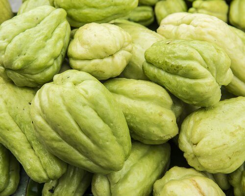 Chayote