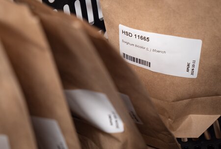 From War Zones to Typhoon-Prone Shores, Nations Rally to Protect Their Crops, Make Landmark Deposits to the Svalbard Global Seed Vault