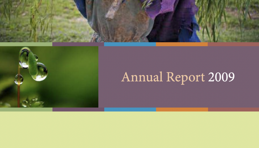 2009 annual report cover