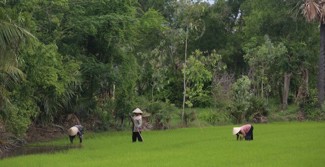 workers in field thumbnail