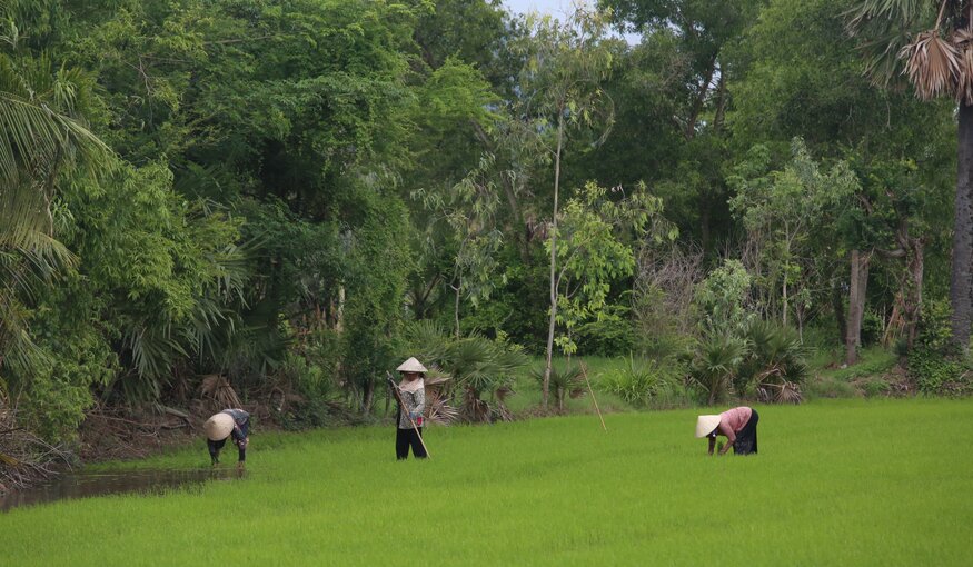 workers in field thumbnail