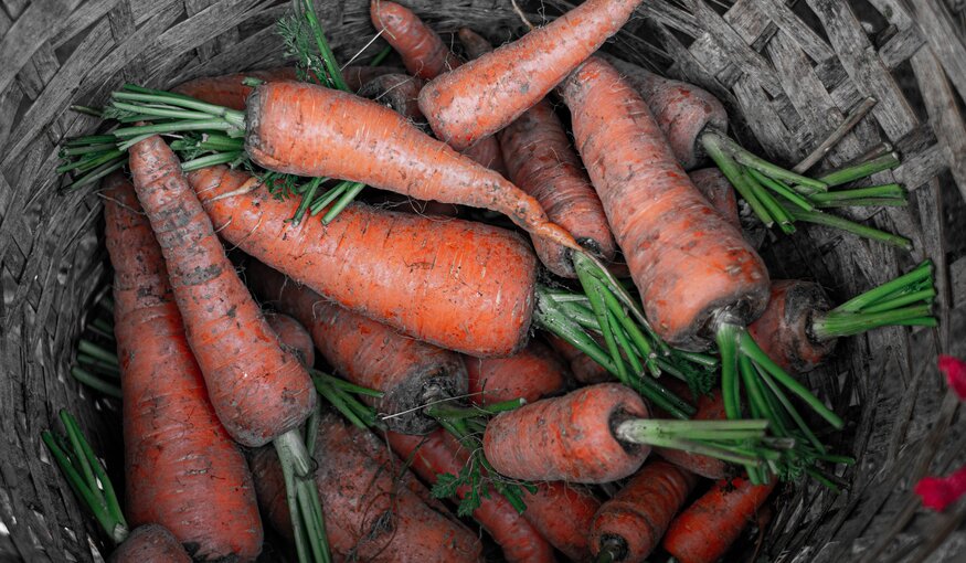 Carrots in a basket.