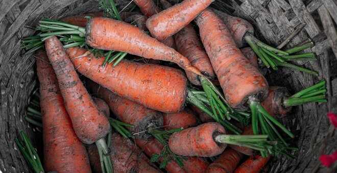 Carrots in a basket.