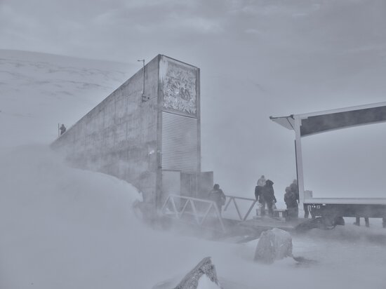 February 2026 deposit. Photo: Omid Abolhasani/LMD