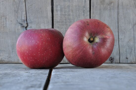 Photo: Vintage Virginia Apples