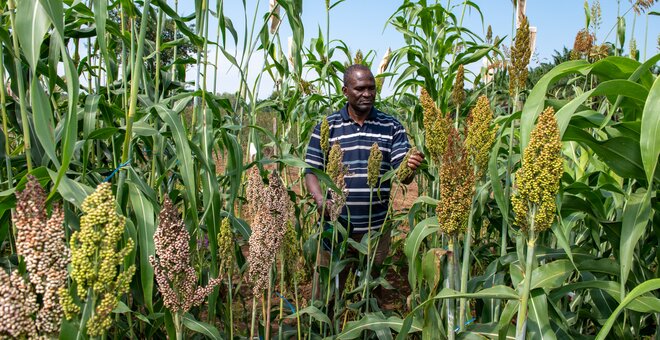 Ensuring the Camel of Crops Keeps Giving