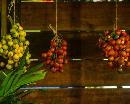 Peach palm