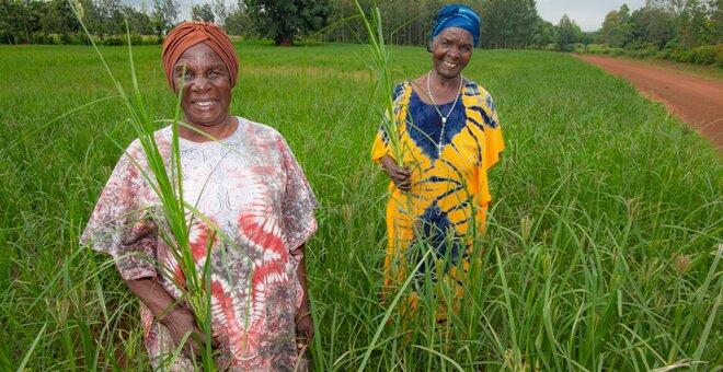 The Women Finger Millet Advocates of Western Kenya
