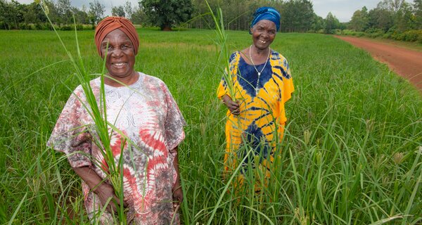 The Women Finger Millet Advocates of Western Kenya