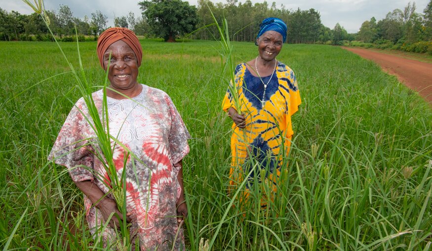 The Women Finger Millet Advocates of Western Kenya