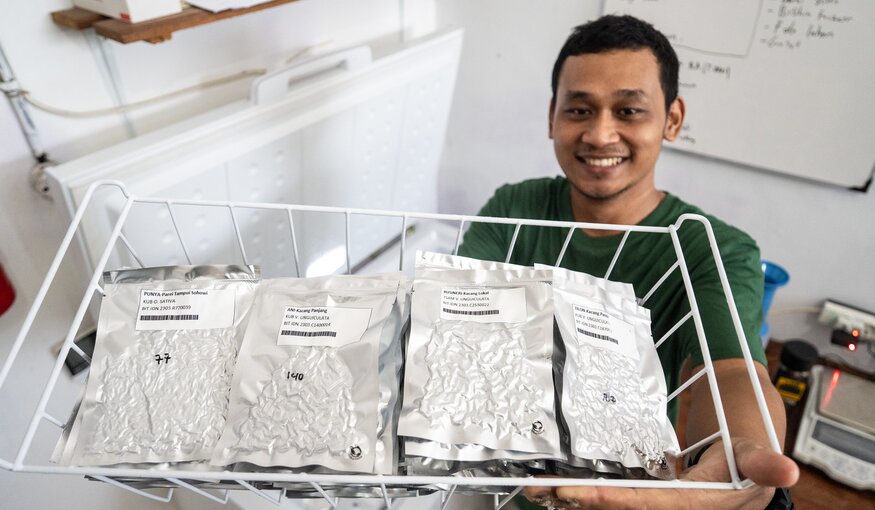 Safeguarding Indonesian Crop Diversity: A Q&A with Standy Christianto