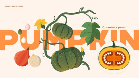 Pumpkin: Hiding in Plain Sight