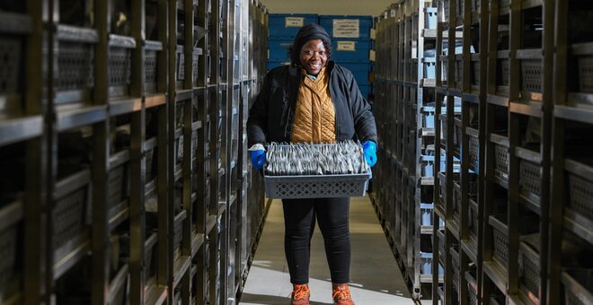 Marie-Noelle Ndjiondjop with packets of rice samples in the AfricaRice genebank in Mbe. Photo: Neil Palmer/Crop Trust