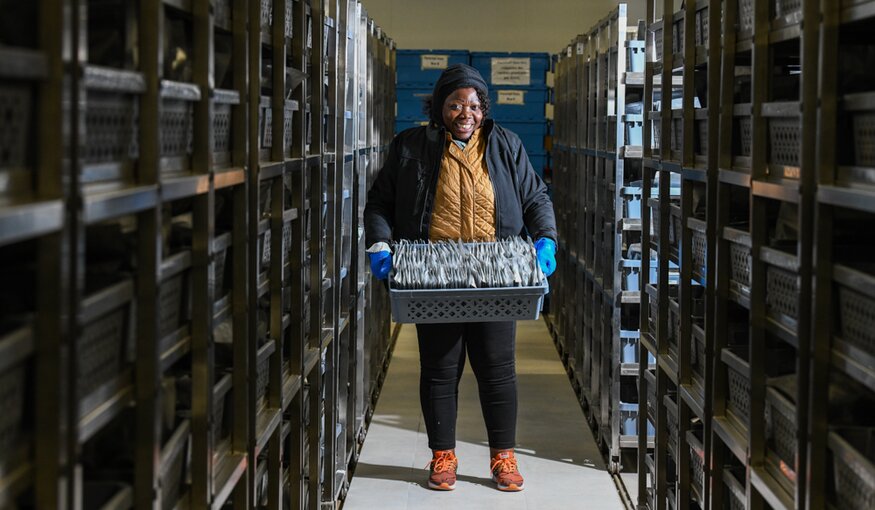 Marie-Noelle Ndjiondjop with packets of rice samples in the new AfricaRice genebank in Mbe. Photo: Neil Palmer/Crop Trust