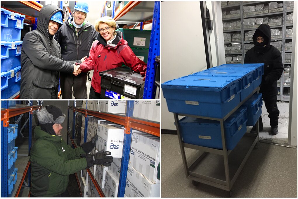 Top left: New Zealand’s first-ever seed deposit, May 2016; Bottom left: USDA’s largest deposit, September 2016; Right: Seeds ready for shipment from CIAT, October 2016.