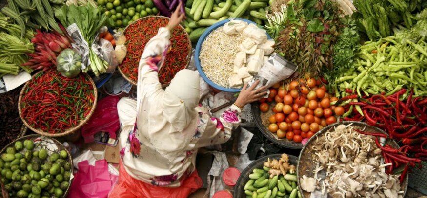 Myriad USA: Preserving a Precious Resource – Global Food Security Through Crop Diversity