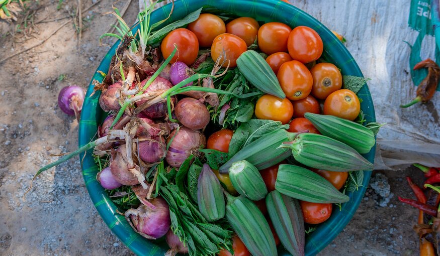 Photo: WorldVeg