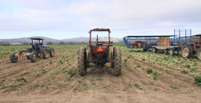 Fund Call to Protect Global Crop Diversity: The Australian