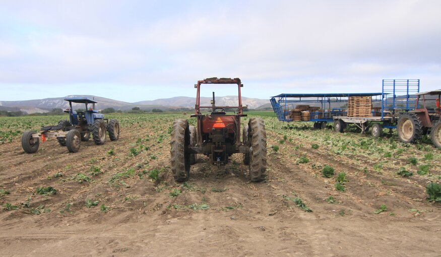 Fund Call to Protect Global Crop Diversity: The Australian