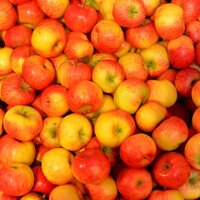 Red and yellow apples