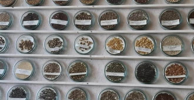 FAO and the EU support relocation of Ukraine’s national seed collection to a secure site