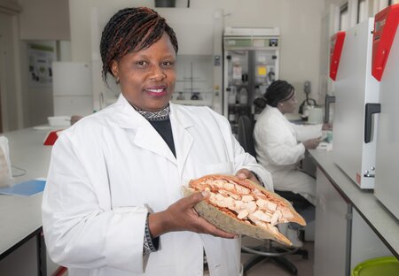 Cracking the Problem of Tree Seeds