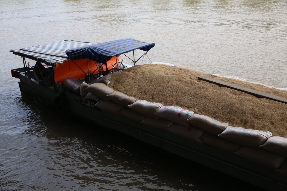 “In Vietnam, roughly 73% of cargo tonnage and about 27% of passengers travel by water annually,” says the Mekong River Commission. To better understand the role rice plays in the Mekong Delta, Ben Kilian, Crop Trust; Venu Ramaiah, IRRI; and Åsmund Bjornstad, Norwegian University of Life Sciences: NMBU, visited the rice milling corporation, Phat Tai, LTD, which owns five mills located at the edge of the Mekong River. Photo: L.M. Salazar 