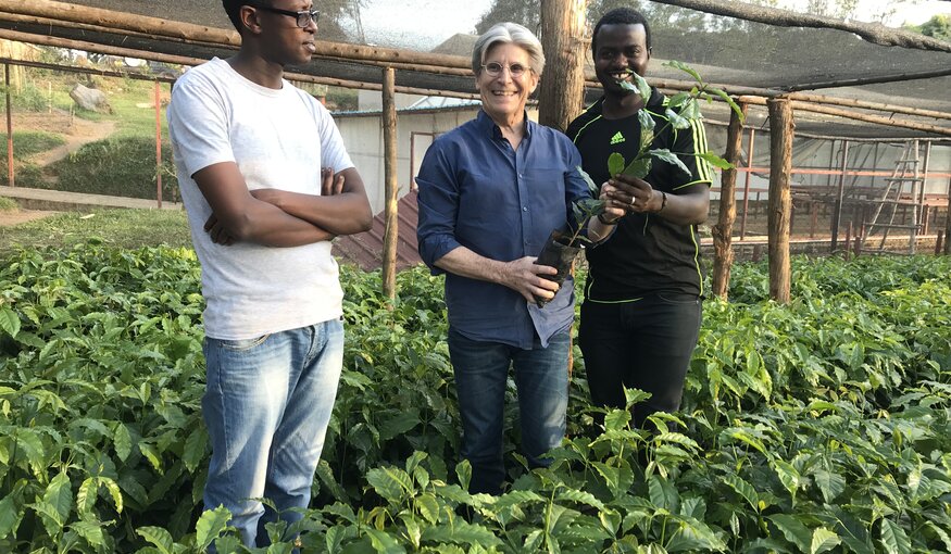 World Coffee Research