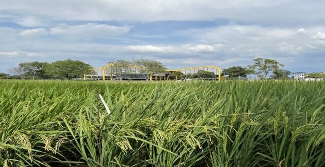 Future Seeds genebank