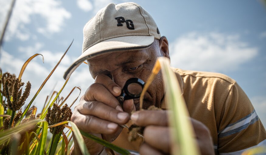 Collecting Kenya’s Opportunity Crops: Searching for Tomorrow’s Solutions