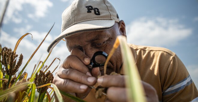 Collecting Kenya’s Opportunity Crops: Searching for Tomorrow’s Solutions