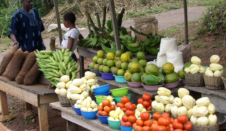 Farmers market in Benin, Africa.