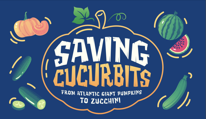 Saving Cucurbits Infographic