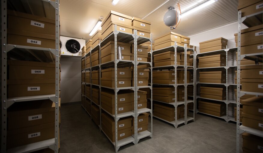 El País: The secret journey of one of Ukraine’s treasures: Its seed bank