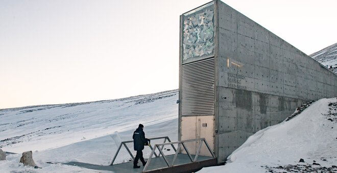 Ghana Genebank Becomes 100th Depositor to Safeguard Food Crops in the Seed Vault