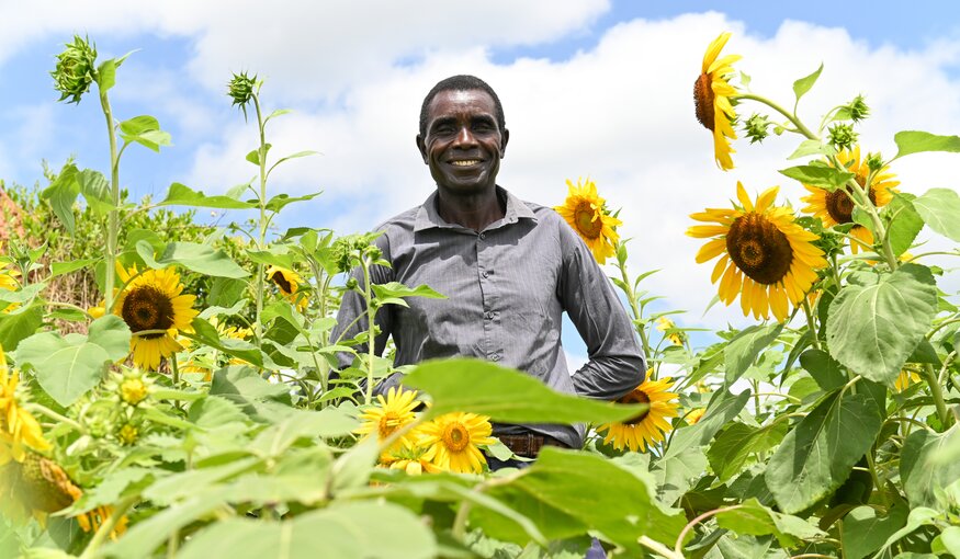 Farmers and Genebanks Explore Crop Diversity in Zambia