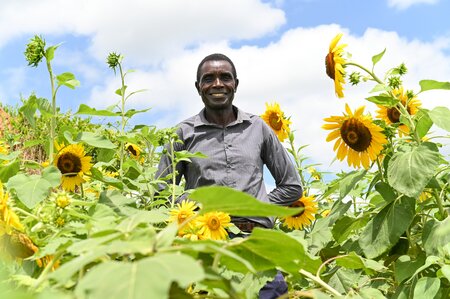 Farmers and Genebanks Explore Crop Diversity in Zambia