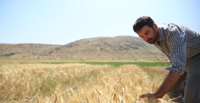 A BOLD Attempt to Adapt Barley to the Most Remote Regions of Tunisia