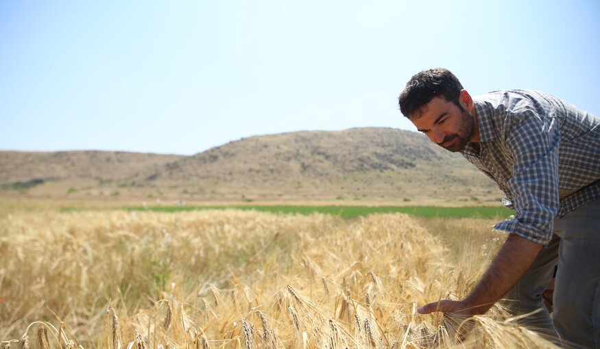 A BOLD Attempt to Adapt Barley to the Most Remote Regions of Tunisia