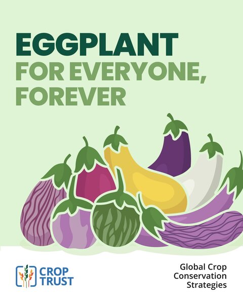 Eggplant card