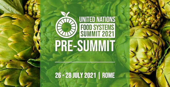 United nations food systems summit 2021 promotional graphic