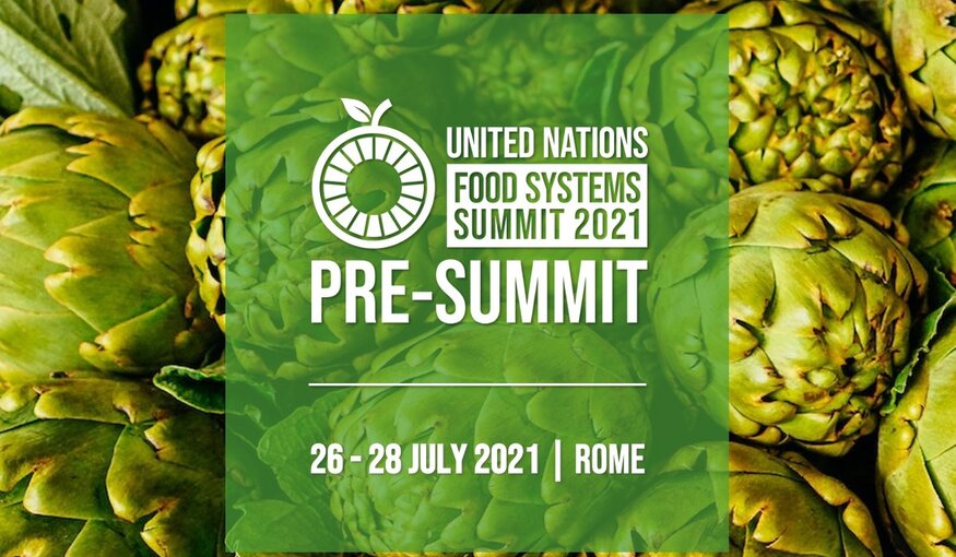 United nations food systems summit 2021 promotional graphic