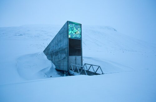 Press Statement on the Seed Vault