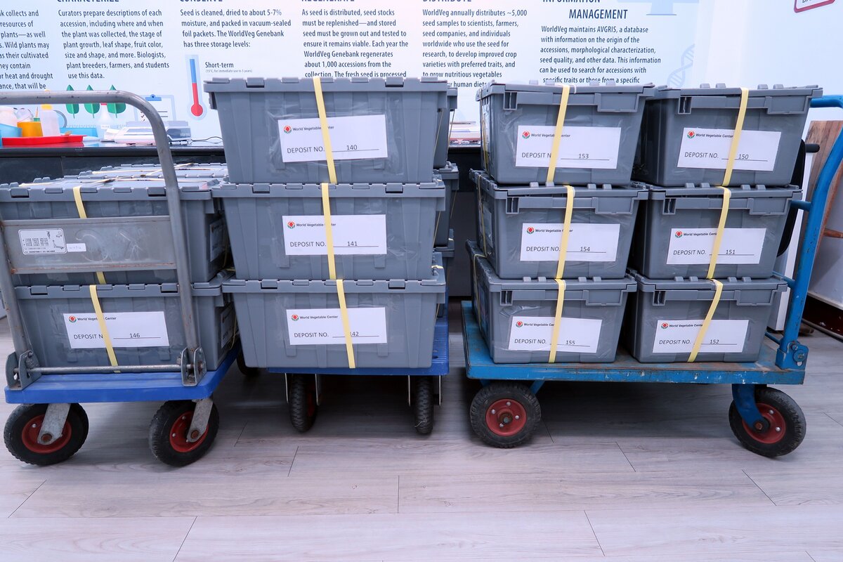Stacked grey boxes.
