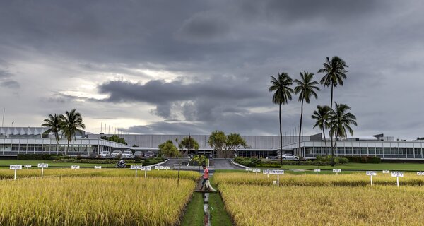 Crop Trust Dialogue on Genebanks at GLF Biodiversity Conference